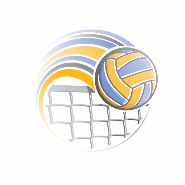depositphotos 61602711 stock illustration the image of a volleyball